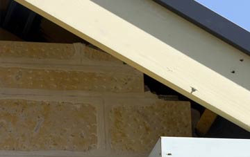 soffit repair True Street
