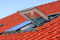True Street roof window